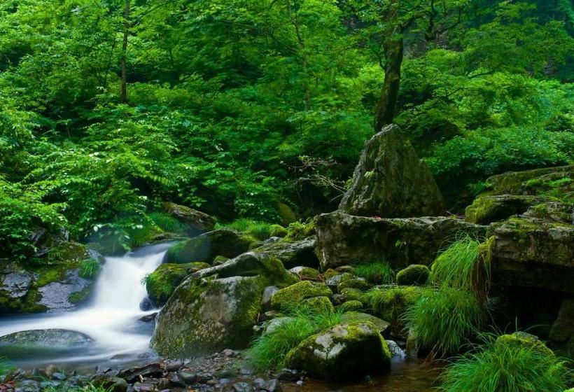 Majatalo Outdoor Style Amida