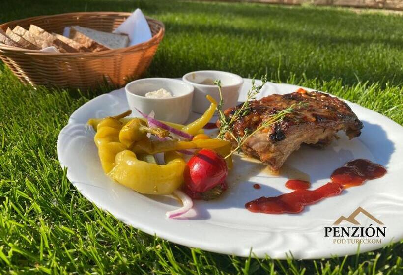 بنسيون Penzion Pod Tureckom