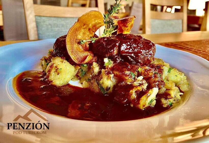 بنسيون Penzion Pod Tureckom