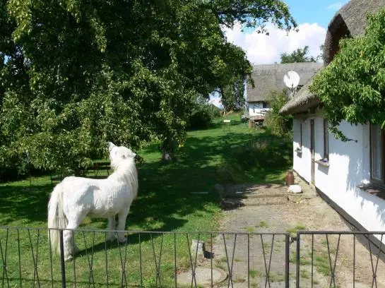 Landhotel Rügen