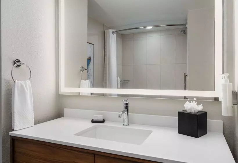 ホテル Embassy Suites By Hilton Huntsville