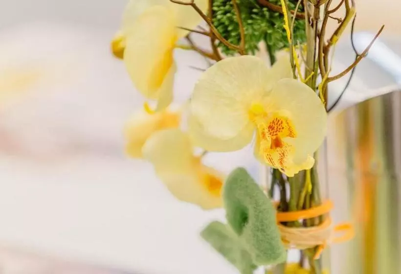 Fair Hotel Mönchengladbach