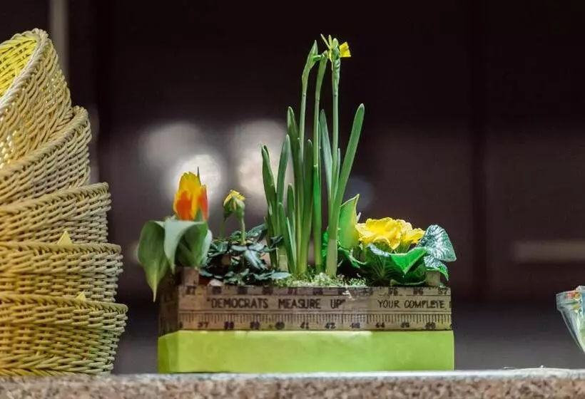 Fair Hotel Mönchengladbach