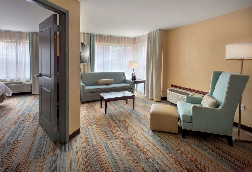 فندق Hilton Garden Inn Albany Medical Center