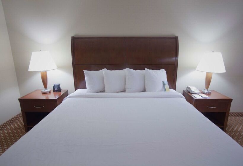 فندق Hilton Garden Inn Albuquerque Uptown