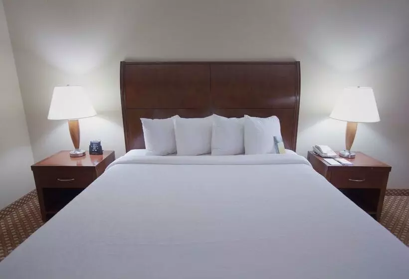 فندق Hilton Garden Inn Albuquerque Uptown