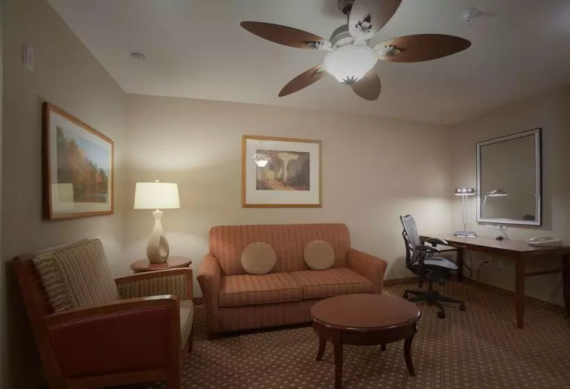 فندق Hilton Garden Inn Albuquerque Uptown