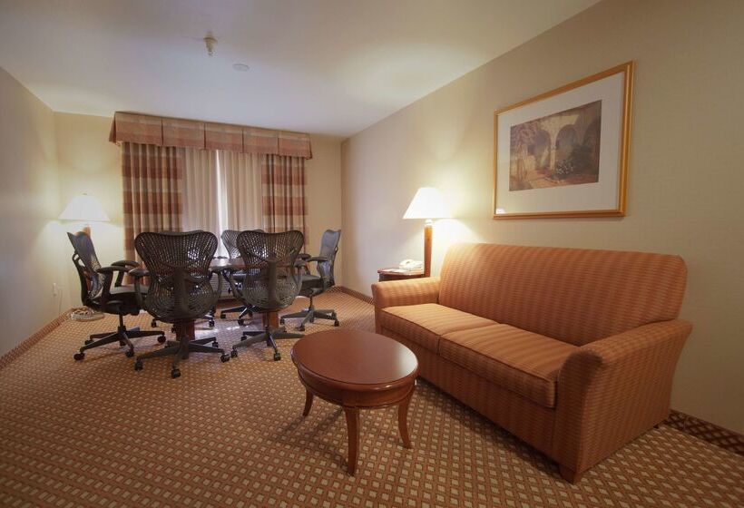 فندق Hilton Garden Inn Albuquerque Uptown