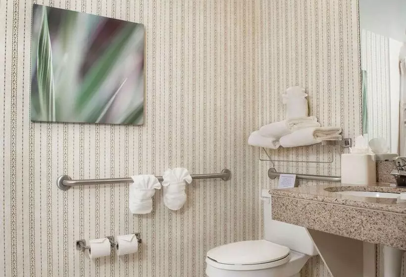 酒店 Hilton Garden Inn Charlotte Pineville