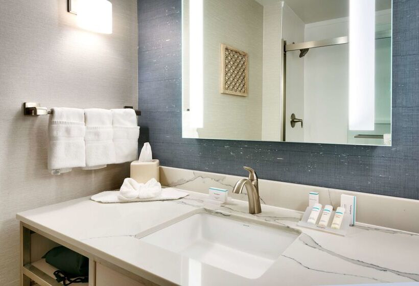 ホテル Hilton Garden Inn Idaho Falls