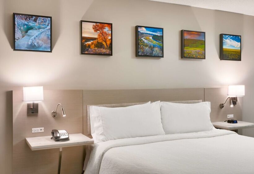 ホテル Hilton Garden Inn Idaho Falls