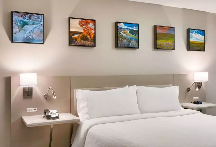 호텔 Hilton Garden Inn Idaho Falls