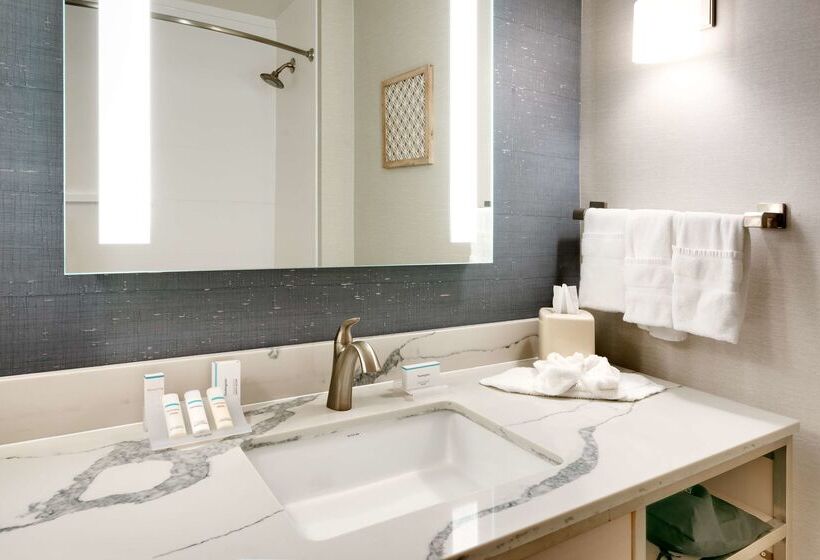 ホテル Hilton Garden Inn Idaho Falls