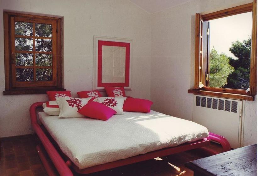 민박 Animosque Giannutri