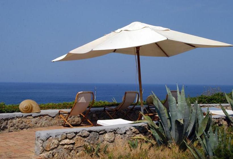 민박 Animosque Giannutri