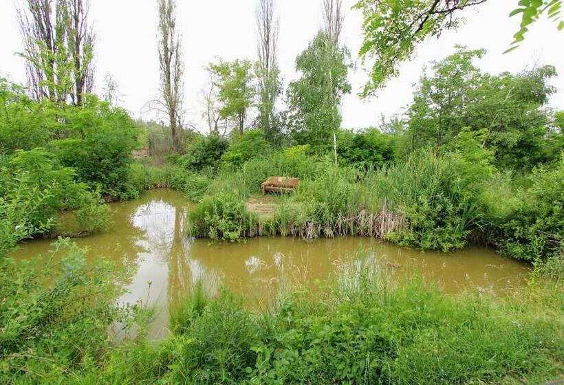 住宿加早餐  фазенда змерега