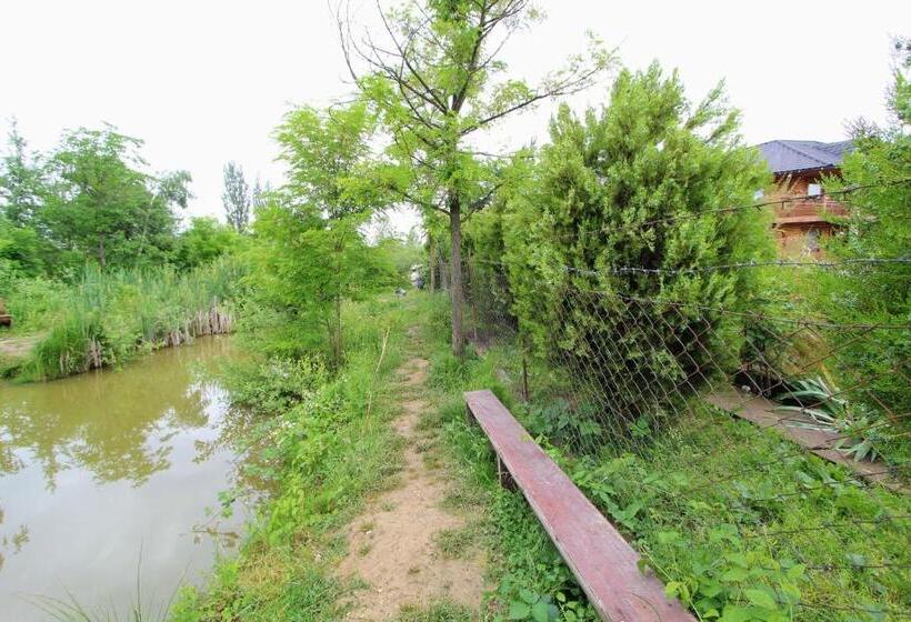 住宿加早餐  фазенда змерега