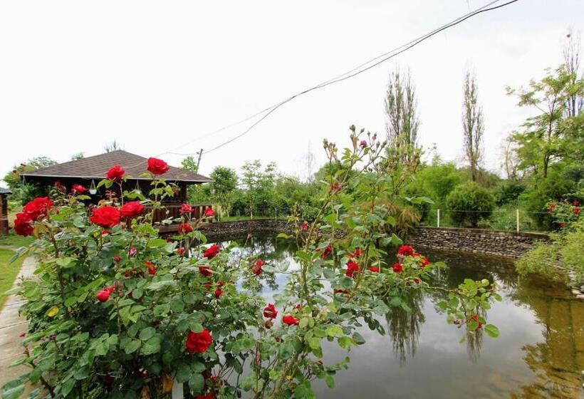 住宿加早餐  фазенда змерега