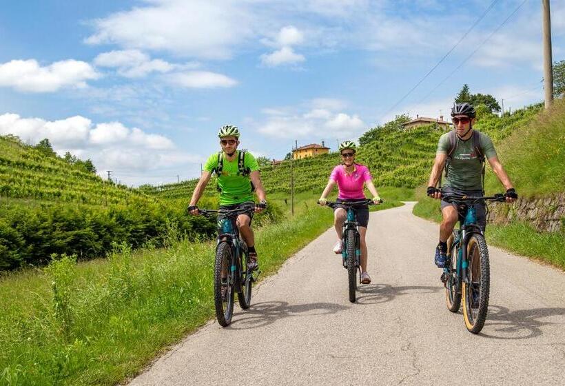 فندق Agriturismo Vidalli Colvidor