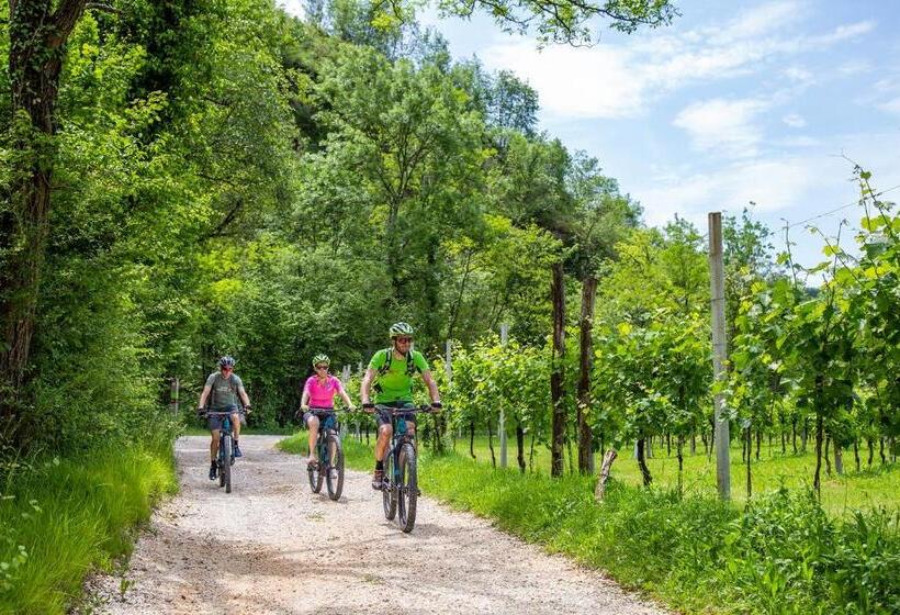 فندق Agriturismo Vidalli Colvidor