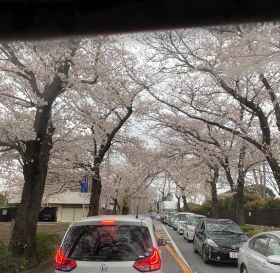 펜션 東松戸,松飛台,五香201メゾン1 4名,1 4 Guests