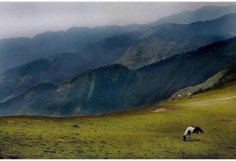 Resort The Mother S Riverfront