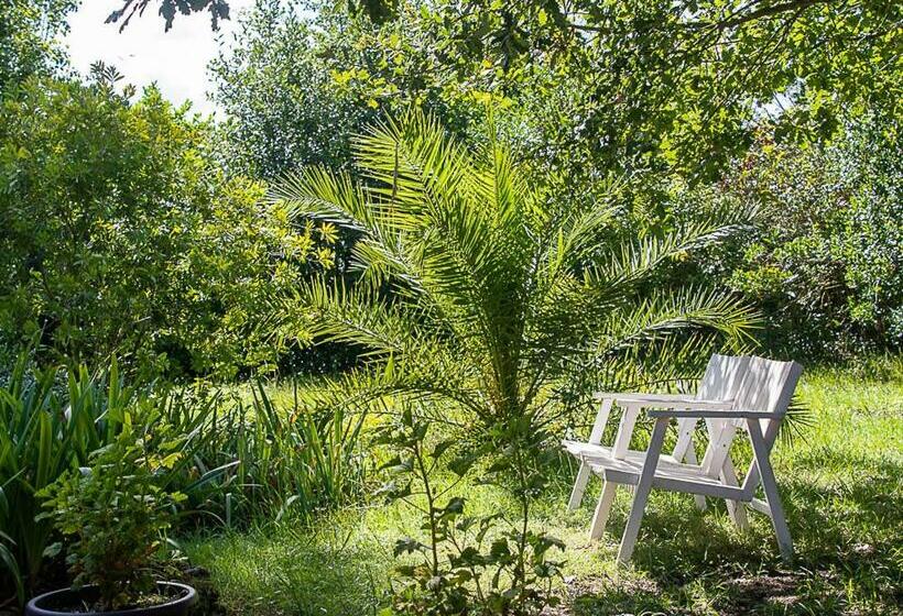 Bed and Breakfast Au Détour Des Vignes