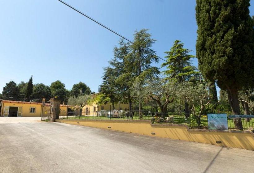 تختخواب و صبحانه Bed&breakfast Il Frantoio