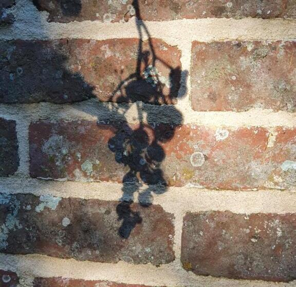 ベッドアンドブレックファースト Chambre D Hôtes La Ferme Du Pré Martin