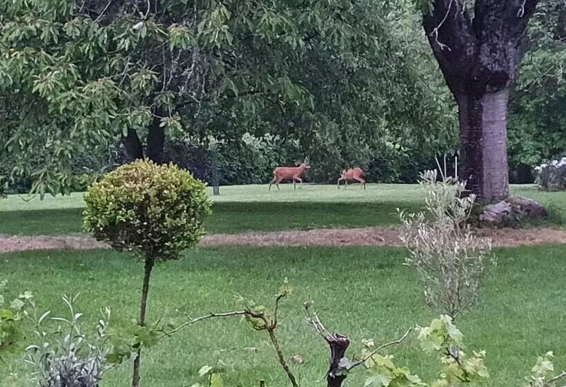 Aamiaismajoitus (B&B) Chambre D Hôtes La Ferme Du Pré Martin