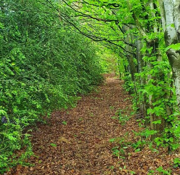 ベッドアンドブレックファースト Chambre D Hôtes La Ferme Du Pré Martin