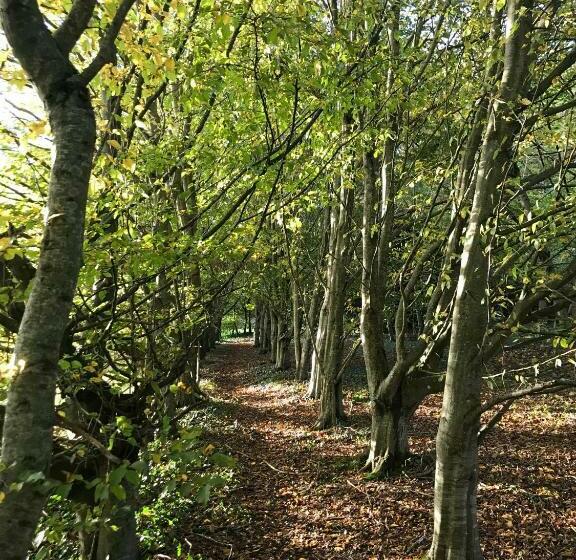 ベッドアンドブレックファースト Chambre D Hôtes La Ferme Du Pré Martin