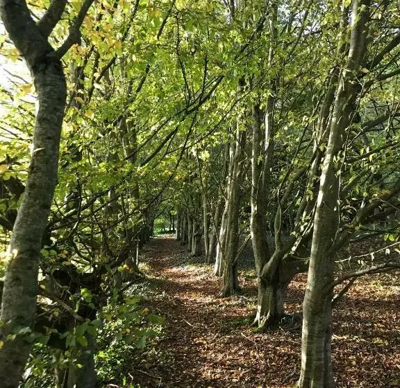 Aamiaismajoitus (B&B) Chambre D Hôtes La Ferme Du Pré Martin