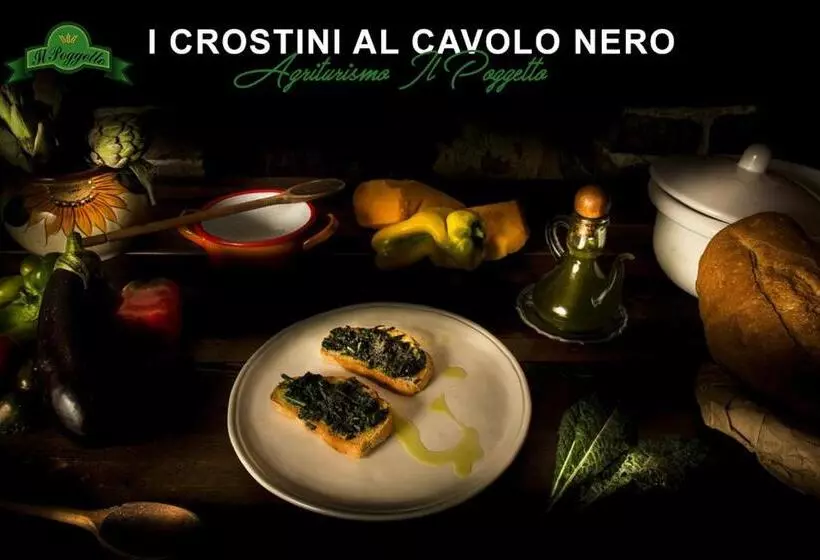 ホテル Agriturismo Il Poggetto