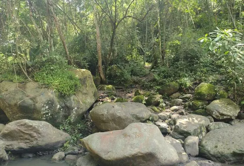 ホテル Villa Falian Nido Colibrí