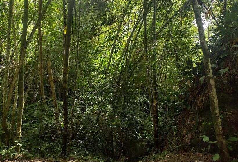 Отель Villa Falian Nido Colibrí