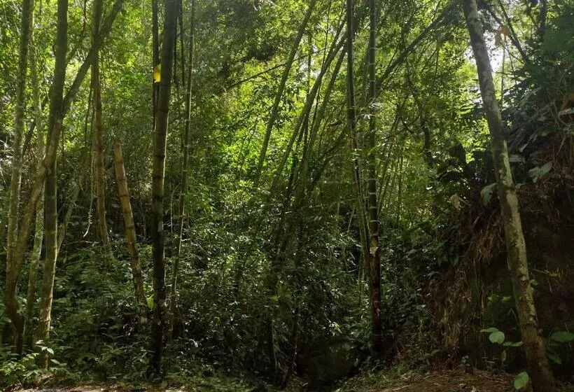 ホテル Villa Falian Nido Colibrí