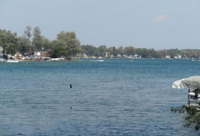 فندق Comfort Inn & Suites