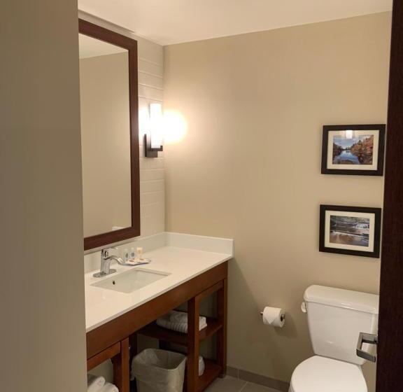 فندق Comfort Inn & Suites