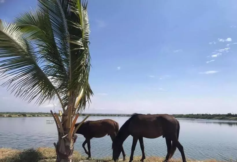 ホテル Hacienda Guamito