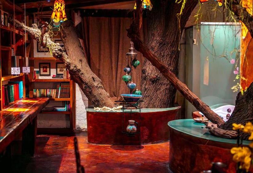 Hacienda Tepetlcalli 1870 Hotel Museo & Spa