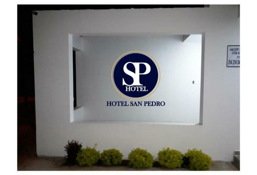 فندق San Pedro