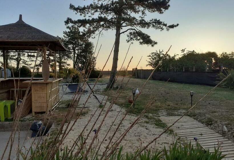 بنسيون A La Paillotte