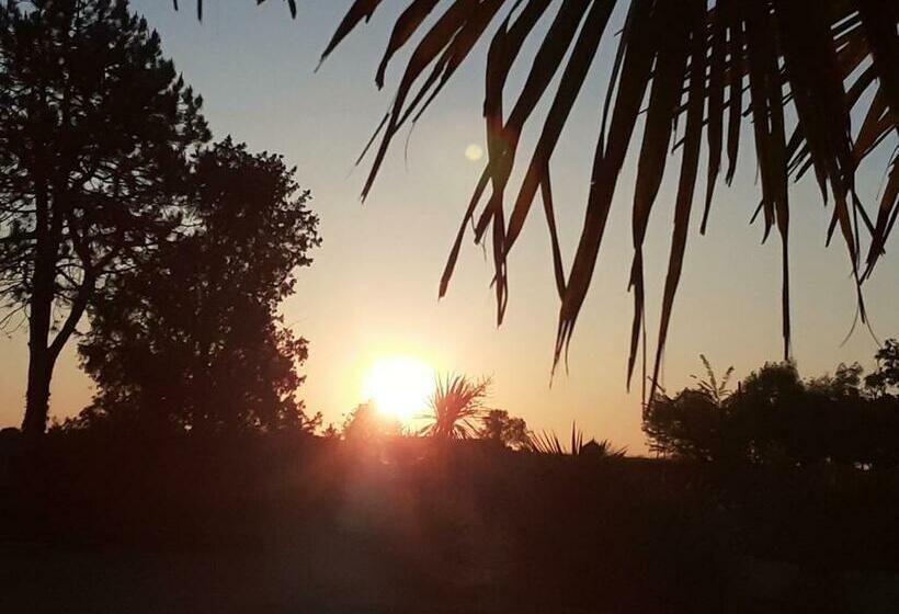 بنسيون A La Paillotte