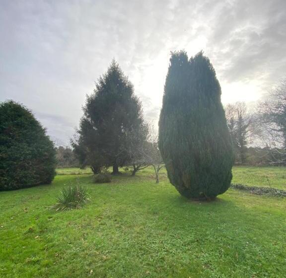 بنسيون Les Chtis Bretons Chambres D Hotes