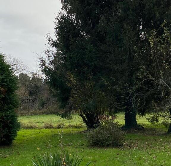 بنسيون Les Chtis Bretons Chambres D Hotes