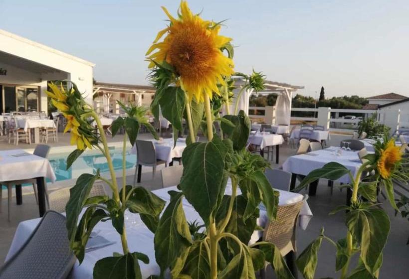 פנסיון Villa Inn