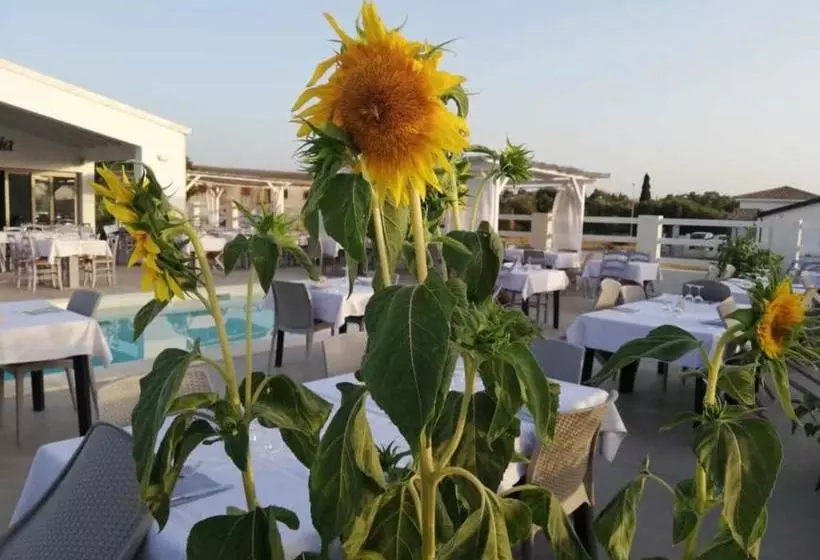 ペンション Villa Inn