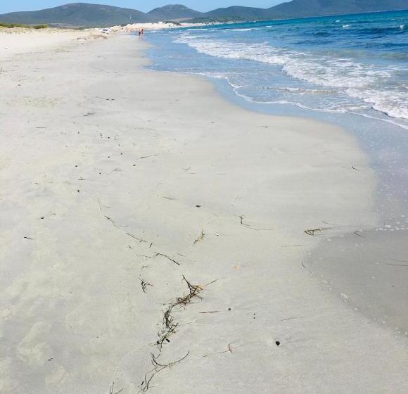 פנסיון Villa Inn