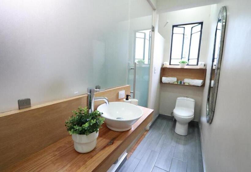 Отель Casa Panuco